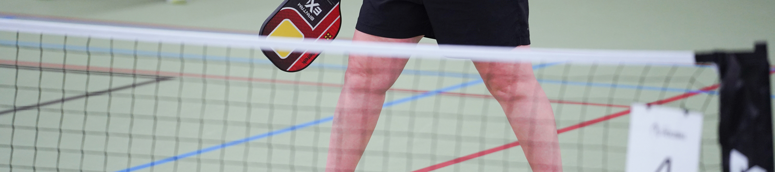 Pickleball Net En Speler